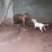 360x360