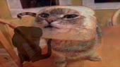 640x360