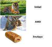 1440x1297