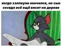 460x347