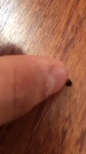 360x640