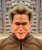 294x343