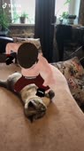 406x720
