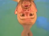 320x240
