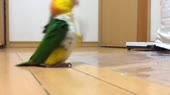 640x360