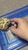 406x720