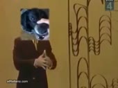 480x360