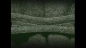 1280x720