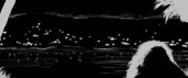 720x304