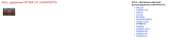 1298x307