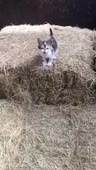 360x634