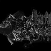 1200x1200