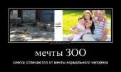 600x360