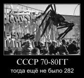 800x744