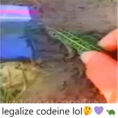 1080x1080