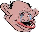 502x419