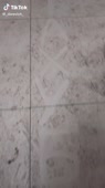 576x1024