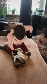 406x720