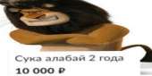 1242x622