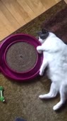 360x640