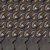 400x400