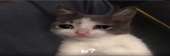 883x291