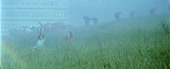 640x262