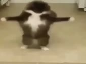480x360