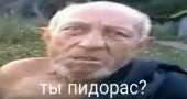 432x231