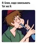 513x599