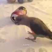 360x360