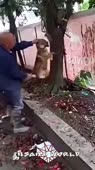 360x640