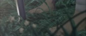1280x544
