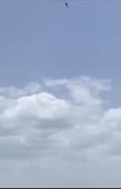 308x480