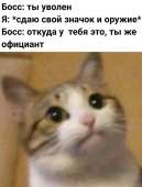 821x1080