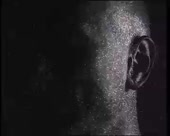 360x288