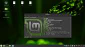 1366x768