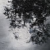 360x360