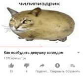768x695