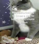 858x958