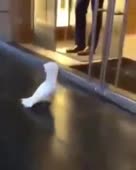 288x360