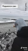 540x960