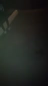 240x426