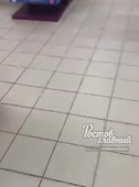 534x720