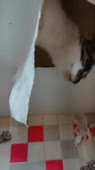 406x720