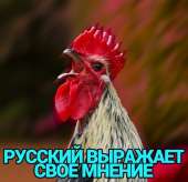 500x485