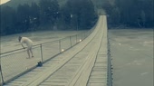 800x450