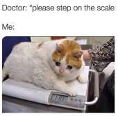 746x734