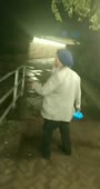 368x688