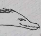 320x285